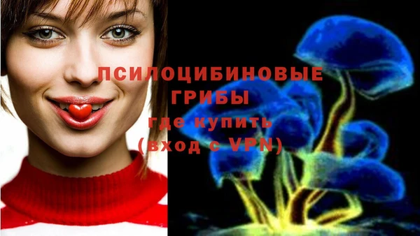 ешки Алексеевка