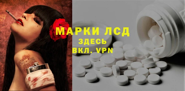 a pvp Алзамай