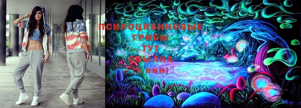 амф Алексин