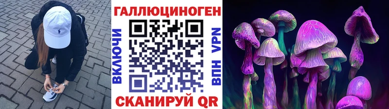 купить Лесной blacksprut tor Галлюциногенные грибы GOLDEN TEACHER